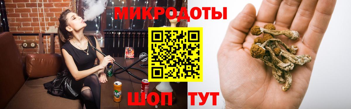 наркошоп  Псилоцибиновые грибы GOLDEN TEACHER  Вход с VPN  Кисловодск 